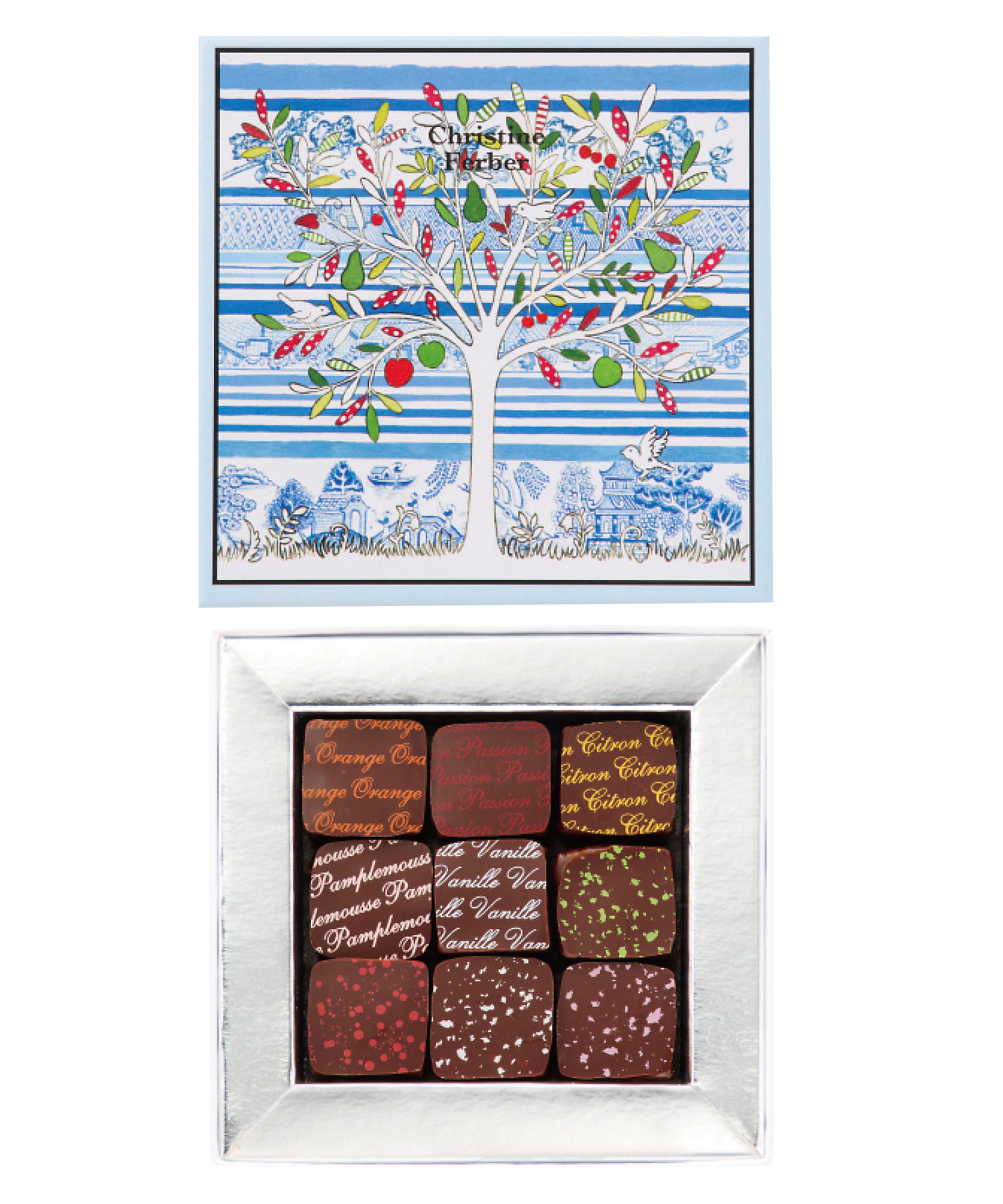 SDC0072 フリュイ エ フルール CF26－03 | Christine