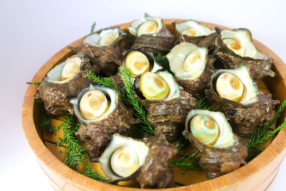 素潜り海女さんのサザエ（2kg） – 心勢水産 | 伊勢志摩逸品市場 「あの