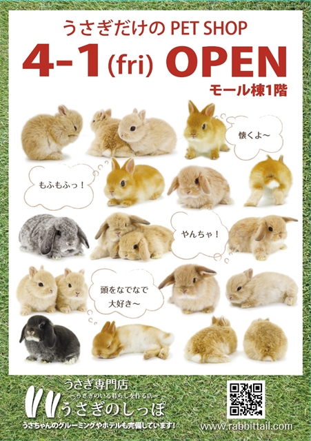 うさぎのしっぽ」新店OPEN。。。│好き勝手しほーだい！