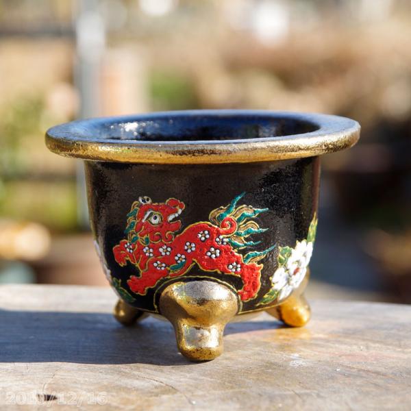 山野草の石田精華園 / 京楽焼 植木鉢販売