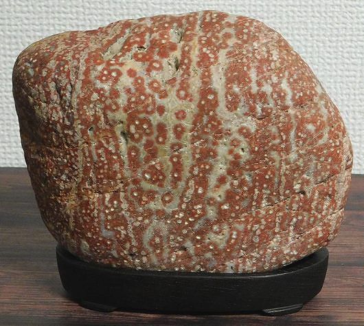 緋山酔恭「山水石美術館」 全国の水石・美石を紹介 土岐石