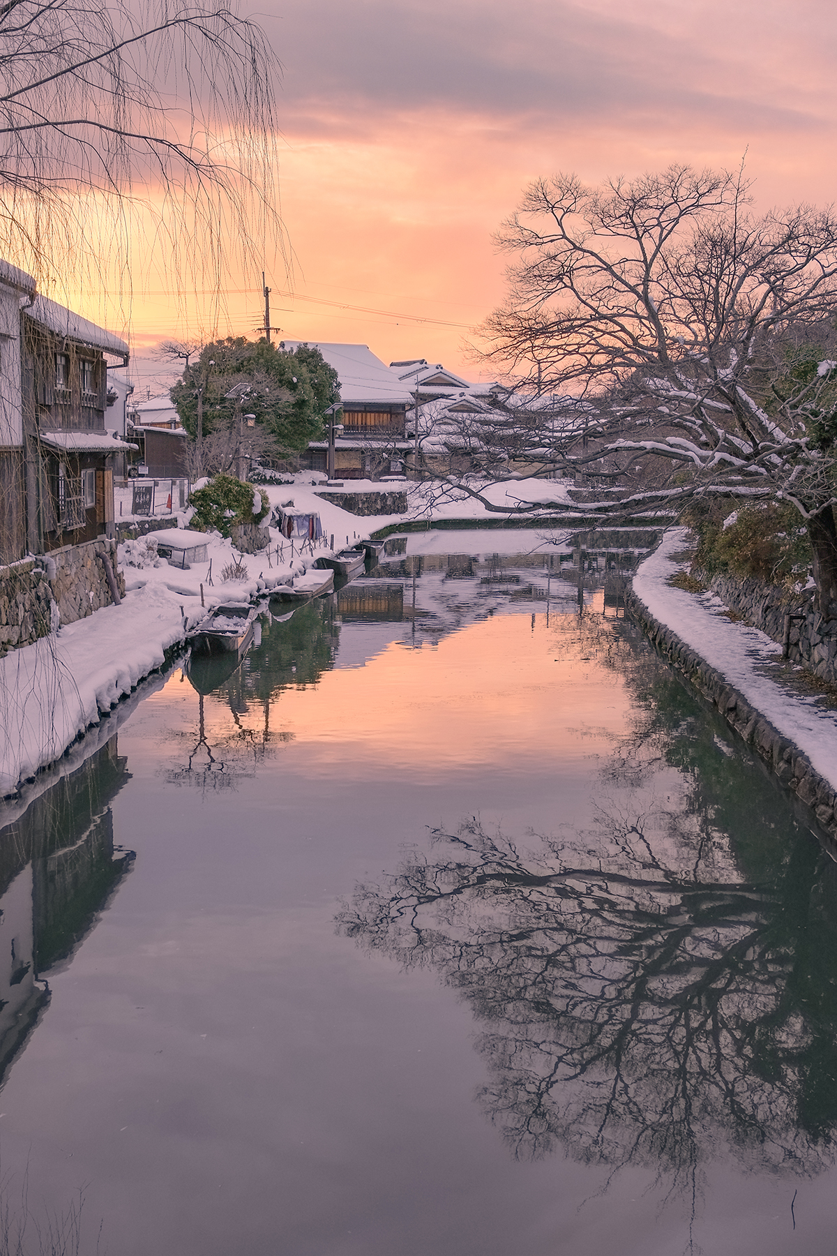 Xシリーズユーザーインタビュー】フォトグラファー・michiyoと『X-T4