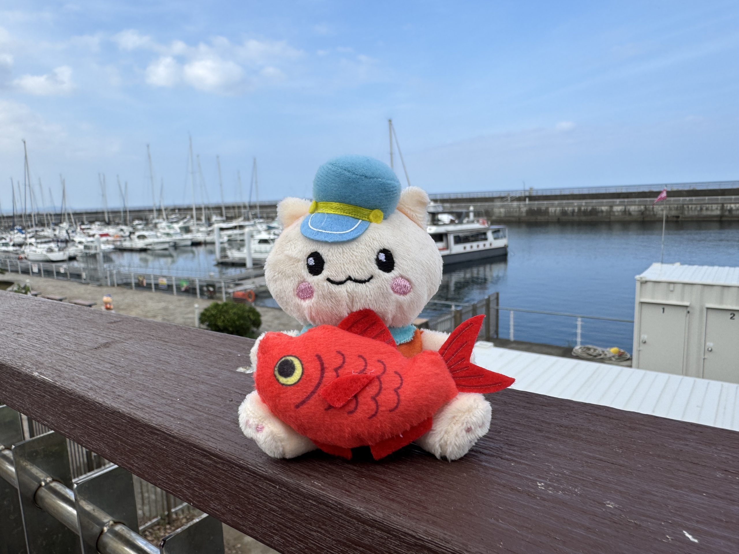 マリにゃん金目鯛Ver.が登場にゃ!｜道の駅伊東マリンタウン
