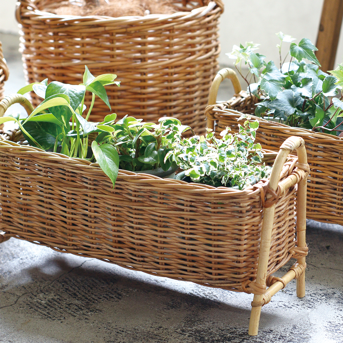 プランタースタンド ロング Sサイズ | itomani（いとまに）｜日常の