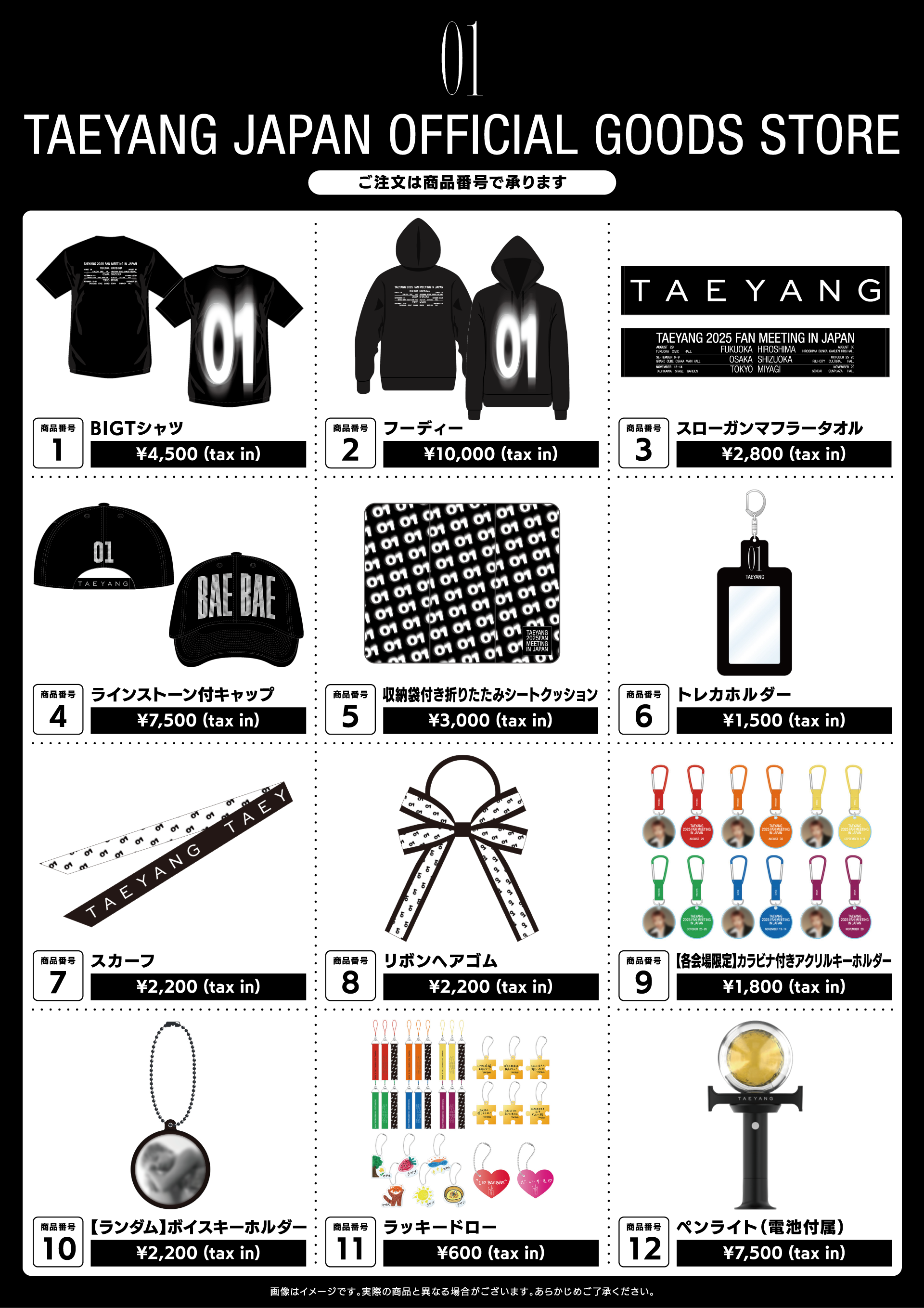 TAEYANG 2025 FAN MEETING [01] IN JAPAN
