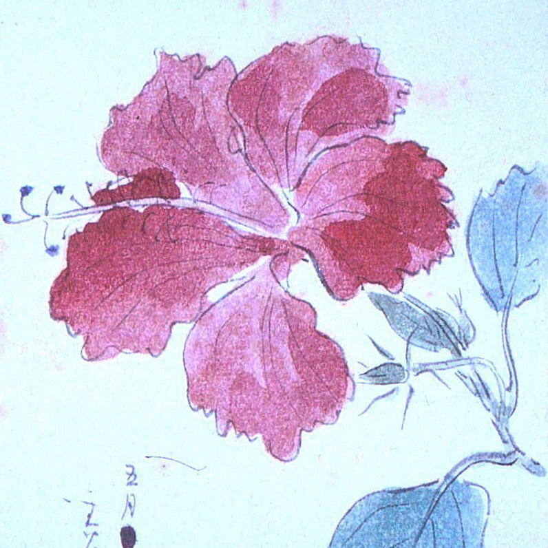 柿衞文庫コレクション「戦場から妻への絵手紙」展 | 展覧会 | I/M 市立