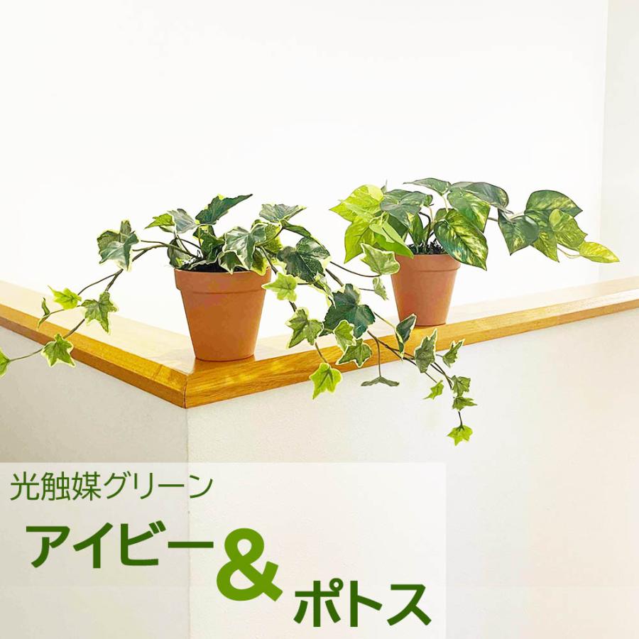 光触媒 フェイクグリーン 2個セット アイビー＆ポトス 観葉植物 造花