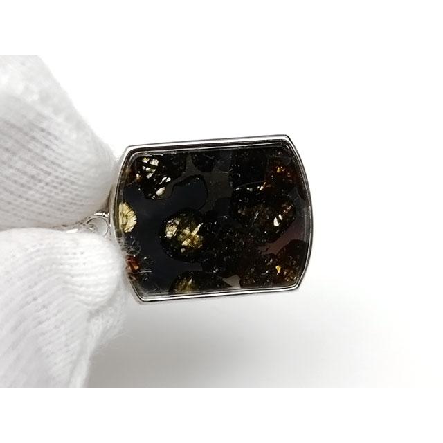 ケニア産 パラサイト セリコ隕石 ペンダントトップ 24×17mm No.638【1
