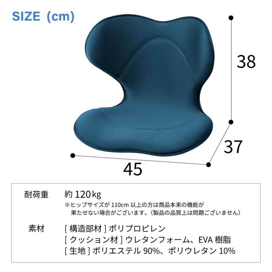 Style（スタイル） 姿勢 サポートチェア MTG スタイルスマート Style