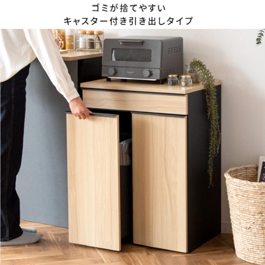 ゴミ箱 分別ドロワーダストボックス NotT ノット DB-F2200 ごみ箱 2連