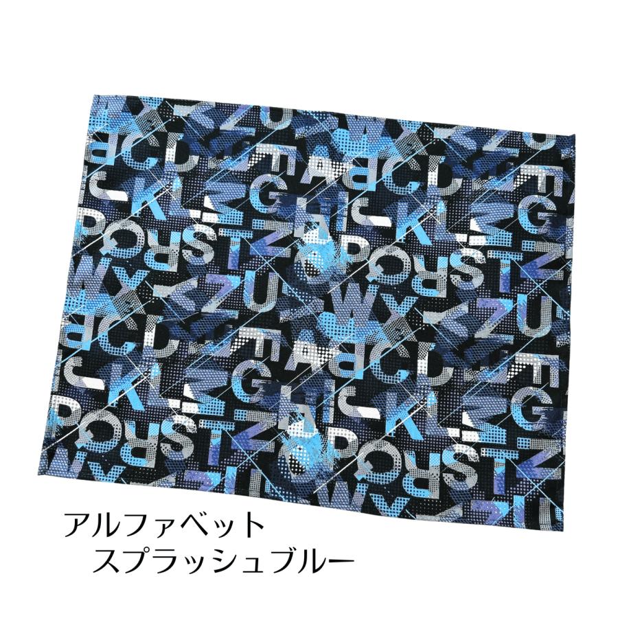 ランチョンマット 小学校 40 50 男の子 長方形 52cm×40cm 恐竜 電車