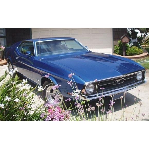 1/24 フォード ムスタング マスタング スポーツルーフ 青 ブルー Ford