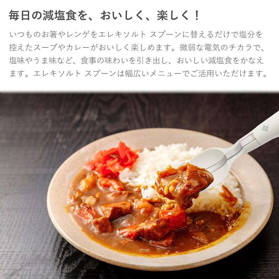 KIRIN キリン エレキソルトスプーン 減塩スプーン 電気の力で塩味