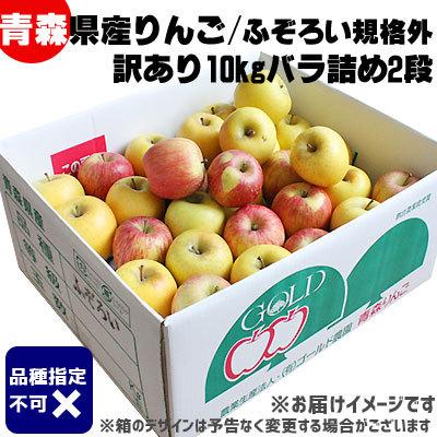 りんご 訳あり 10kg 送料無料 【青森県産 りんご10kg】 加工用 規格外