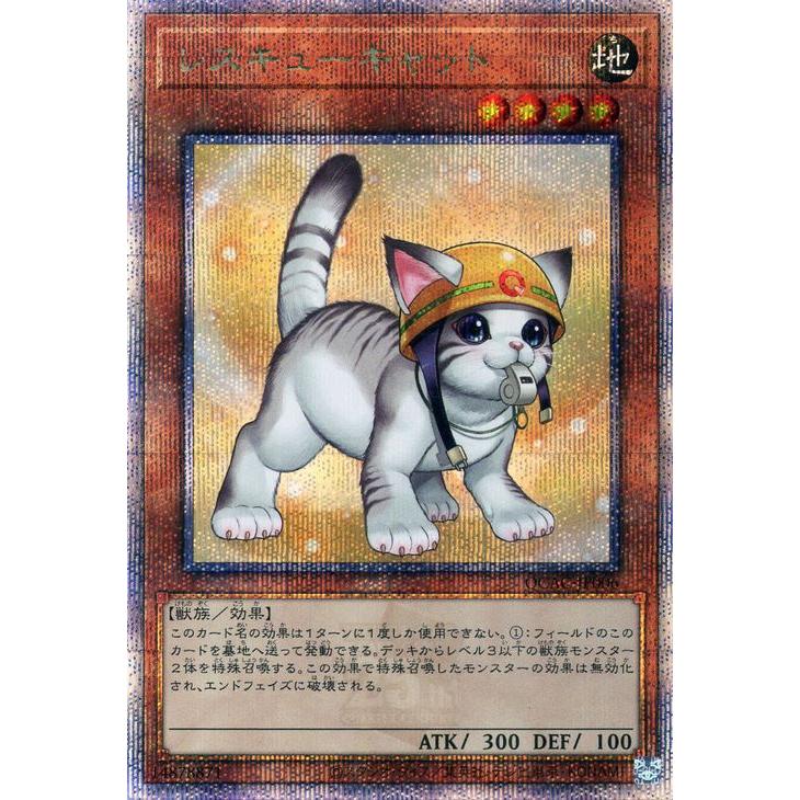 遊戯王オフィシャルカードゲーム デュエルモンスターズ 遊戯王カード