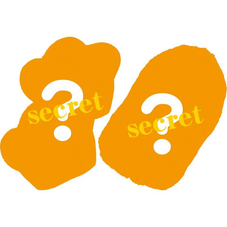 中身はランダム】リラックマ リラックマ総選挙スペシャルシークレット