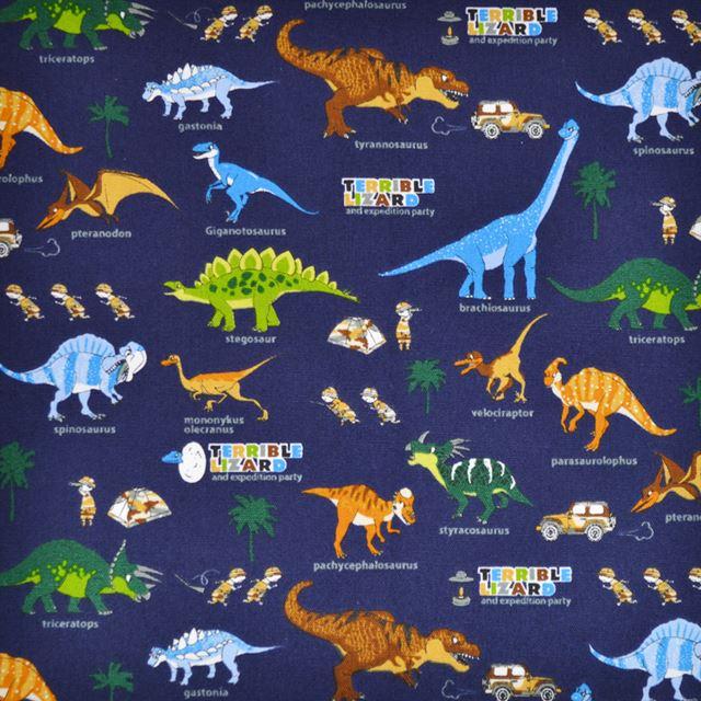 COLORFUL CANDY STYLE（カラフルキャンディスタイル） シューズケース