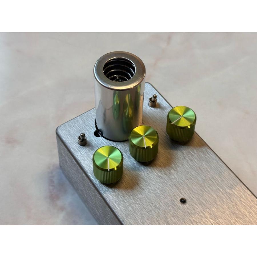 即納可能&送料無料) Lee Custom Amplifier V-808 真空管搭載TSクローン