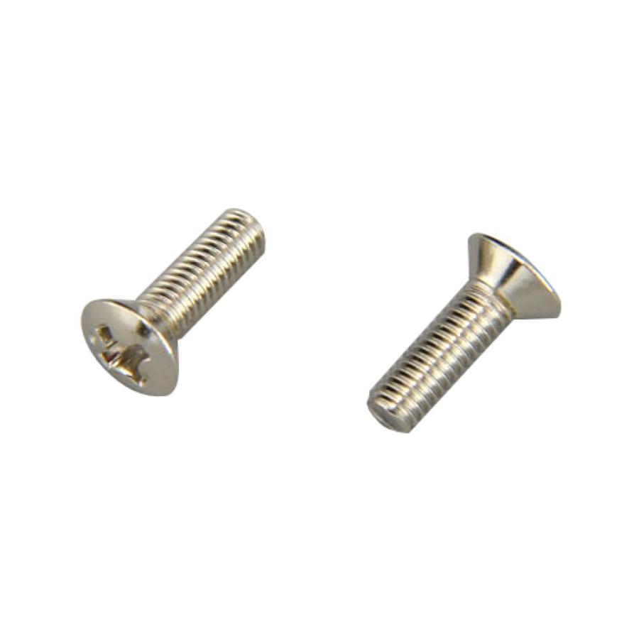 Montreux JPN SCレバースイッチ止めネジ ニッケル 2 No.9287 ギター