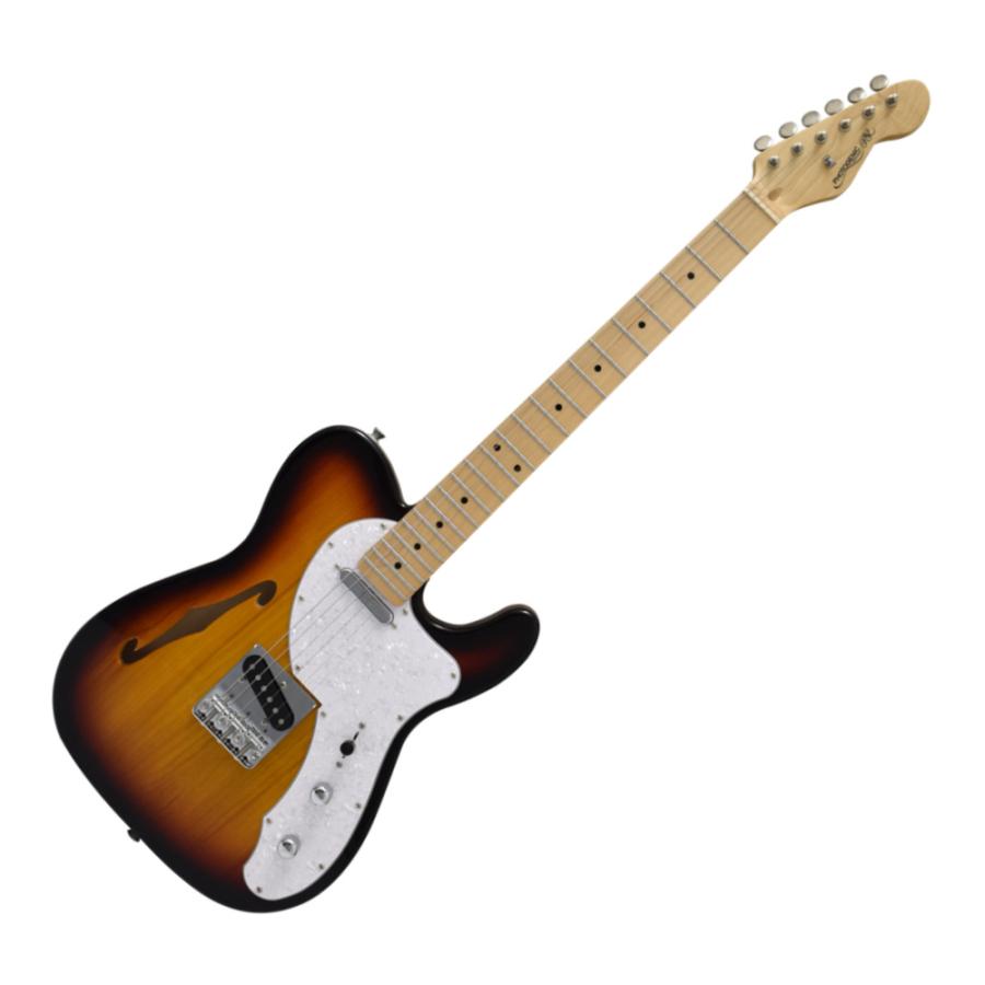 Photogenic エレキギター PHOTOGENIC TLT-200 3TS シンラインタイプ TL