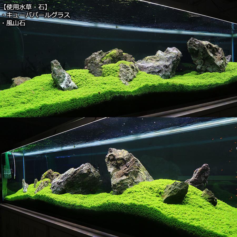 チャーム（charm） 形状お任せ 風山石 サイズミックス 10kg 国産品