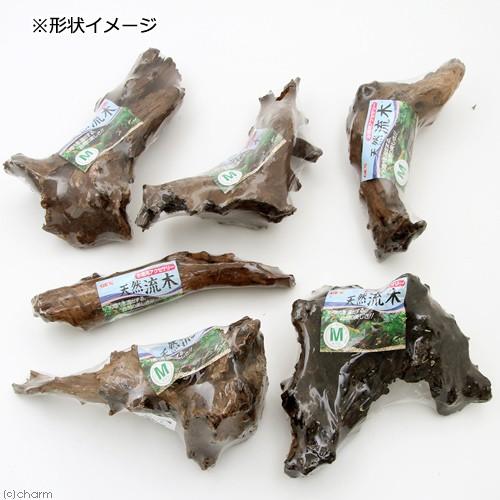 GEX（ジェックス） 天然流木 Mサイズ（約30〜40cm） 1本 形状