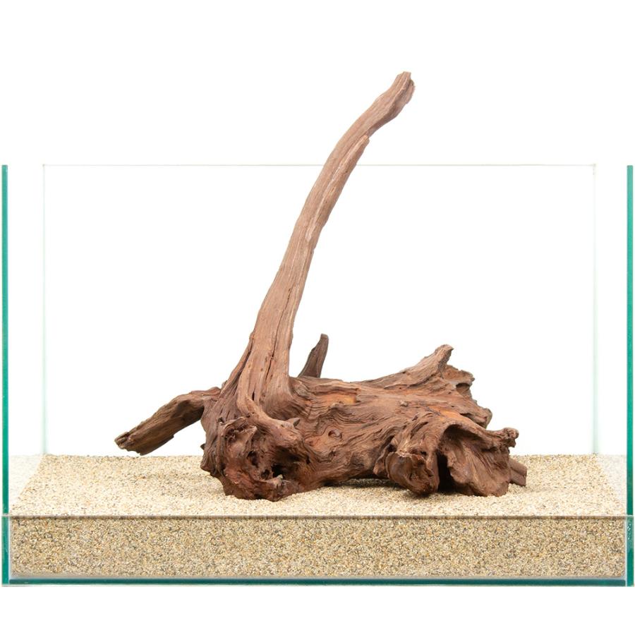 一点物 上質ドリフトウッド 45cm水槽用 880828 : チャーム