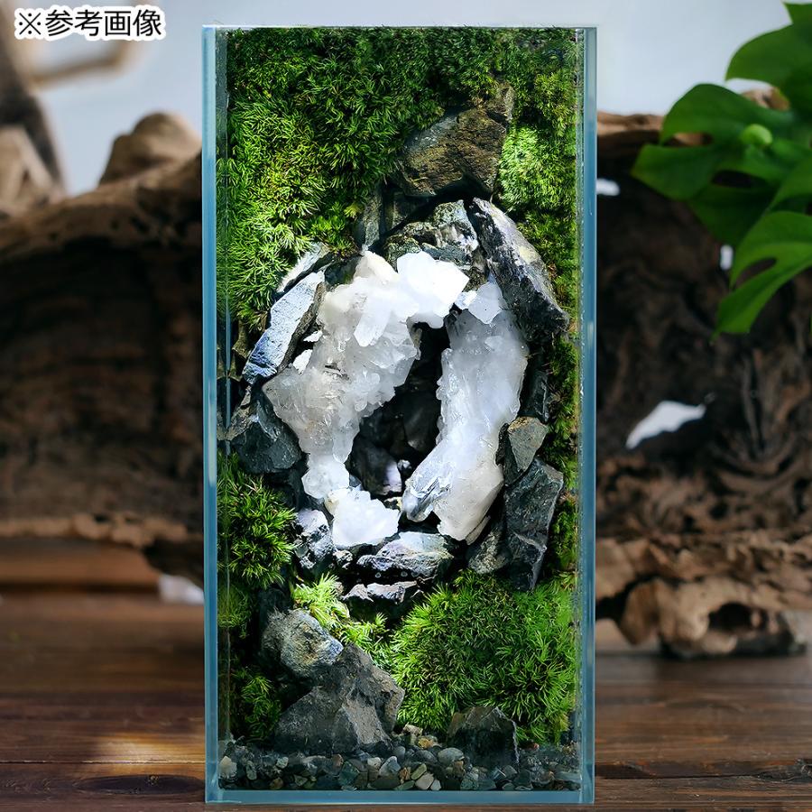 チャーム（charm） 形状お任せ レッドジャスパー（赤碧玉） 100g