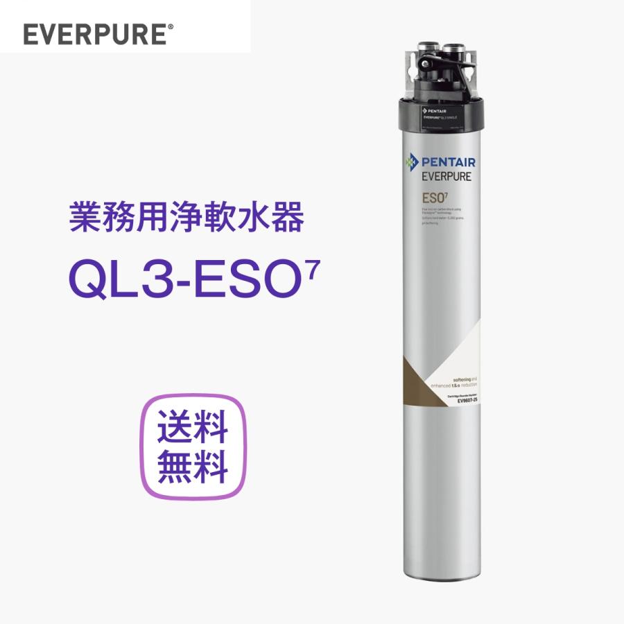 エバーピュア QL3-ESO7 浄軟水器 業務用 フィルターヘッド付 : 厨房
