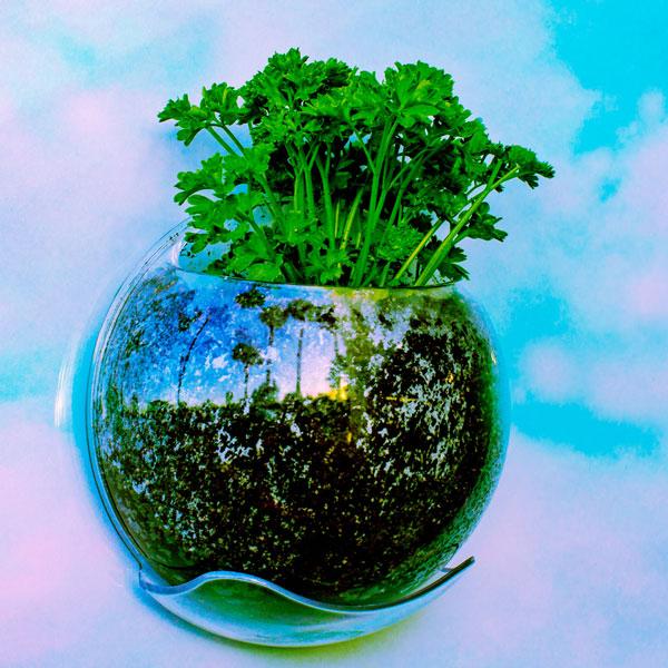 URBZ(アーブス) 壁に貼るプランター クリア/ホワイト/グリーン/ピンク