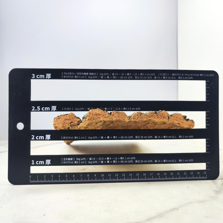 1枚 20×30cm コルク樹皮 コルク板 バージンコルク コルクボード 送料