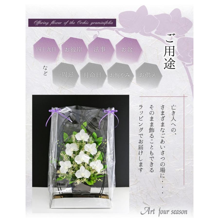 アートフォーシーズン プリザーブドフラワー 仏花 胡蝶蘭 お供え花