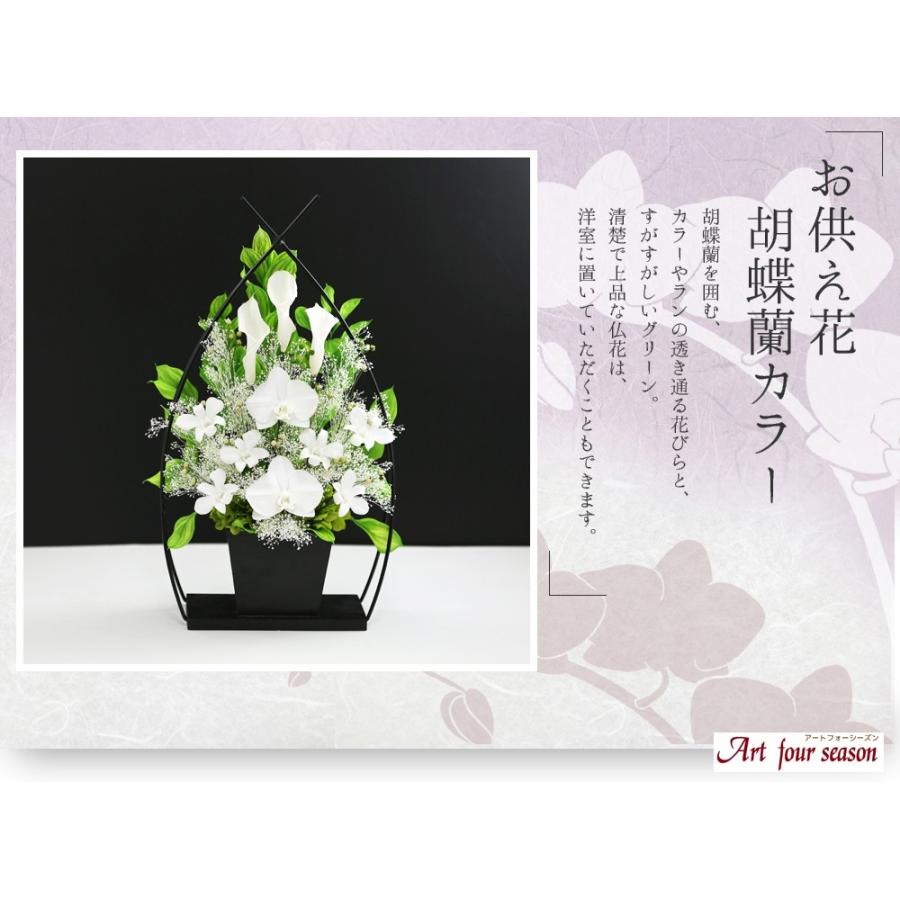 アートフォーシーズン プリザーブドフラワー 仏花 胡蝶蘭 カラー