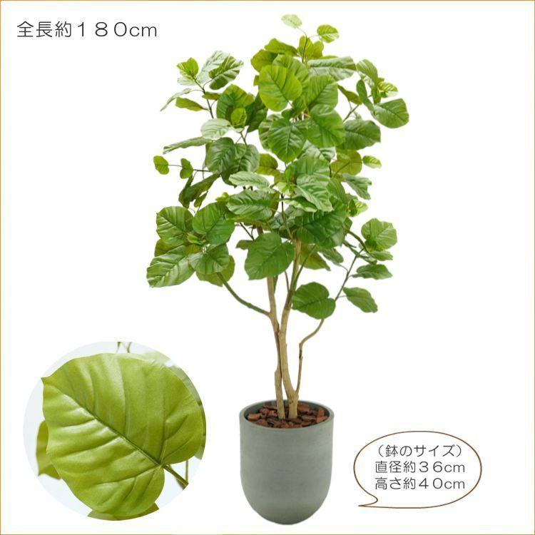 ウンベラータ 180cm 鉢植え (造花 フィカス インテリア おしゃれ 室内