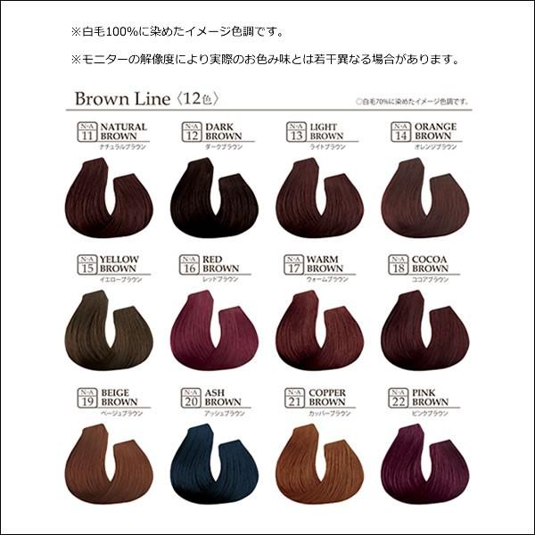 napla（ナプラ） ナシード アシッドカラー 190g ｜22 ピンクブラウン