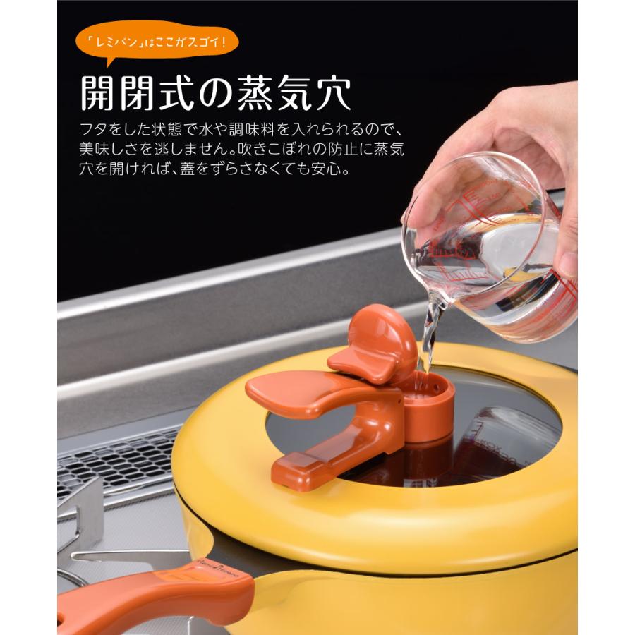 レミパン れみぱん 誕生日 プレゼント ギフト 深型 フライパン 片手鍋