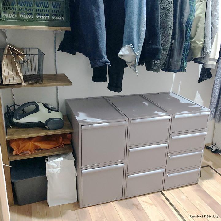 L×2個セット クローゼットシステム クローゼット 収納 収納ケース