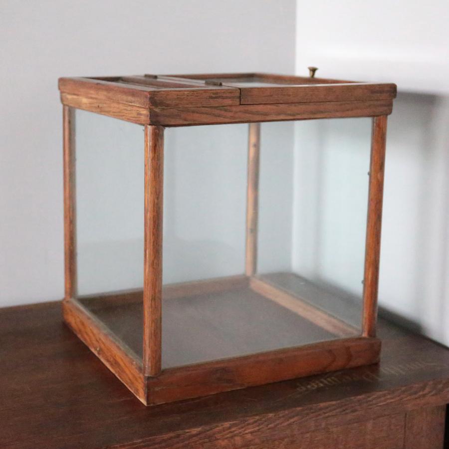 ショーケース ディスプレイケース コレクションボード ガラスケース