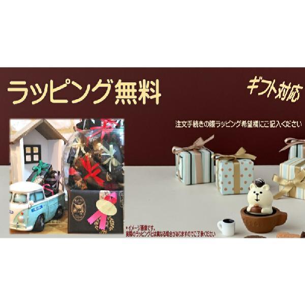 わちふぃーるど（WachiField） ダヤン キーホルダー ファスナー引手