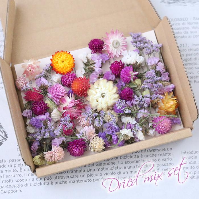 ドライフラワー 花材 詰め合わせ セット （千日紅・HBスターチス他