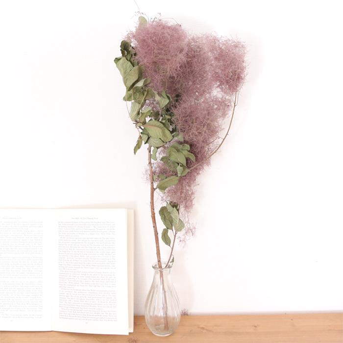 スモークツリー 1本 | ドライフラワー 花材 ロング 国産 送料無料