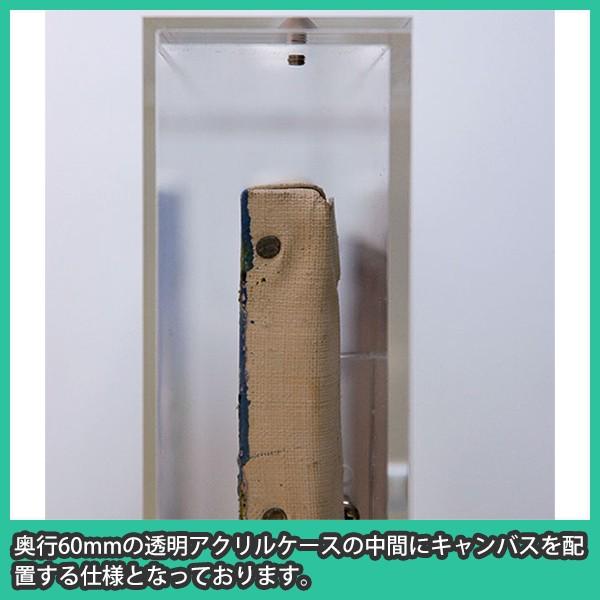 油彩キャンバス F8 額縁 壁掛け ケース ボックス 箱型 奥行 絵画 油絵