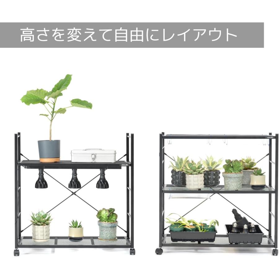 ビビラボ（BIBILAB） ビザールプランツラック LPR-800-WH ホワイト