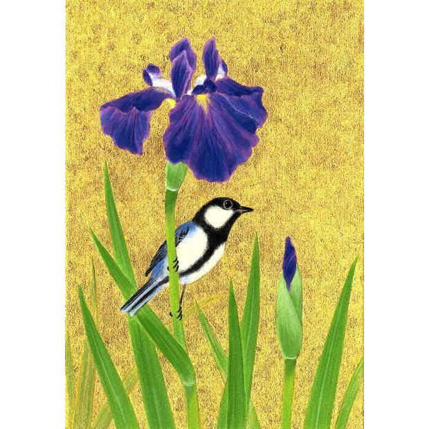 花 絵画 菖蒲 鳥 シジュウカラ 和風 ジークレー 版画 田村仁美 「初夏