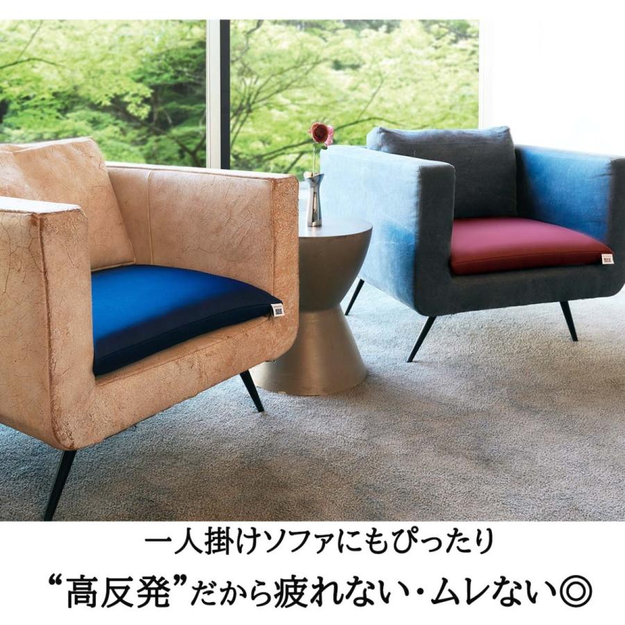 エアウィーヴ（airweave） 座布団 大:銘仙判 ネイビー ワインレッド