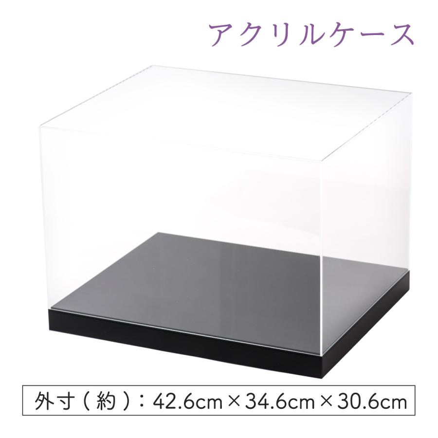 雛人形 ひな人形 ケース入り ケース ケース飾り アクリルケース 五月