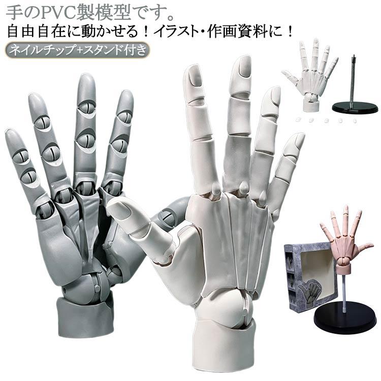 R 1/1 右手 左手 可動式 ネイルチップ付き スキンカラー ハンドモデル