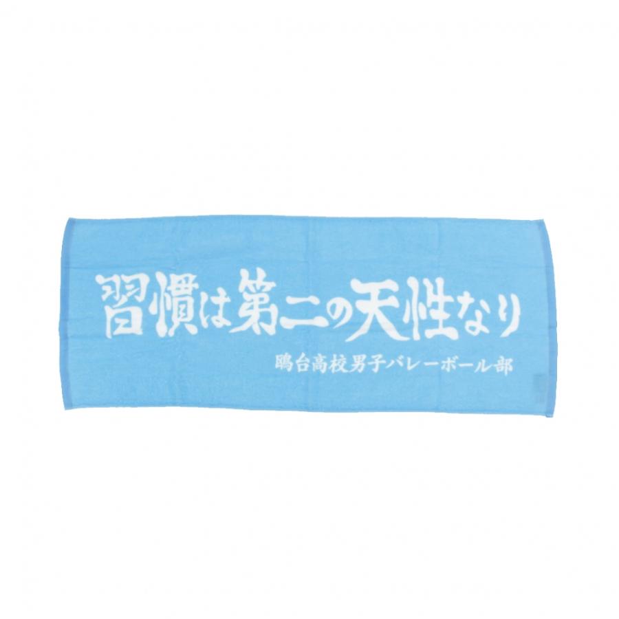 ハイキュー!! ハイキュー横断幕スポーツタオル鴎台 D713-434