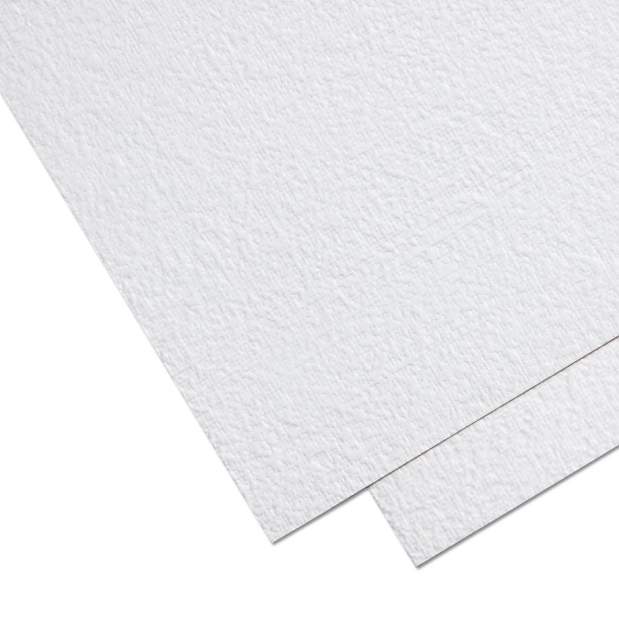 紙キャンバス F6号 50枚組 【 油絵 油彩画 キャンバス ボード