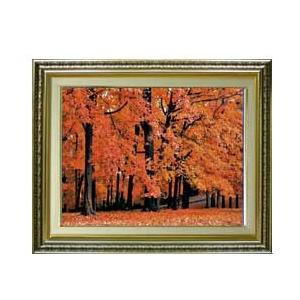 秋、紅葉 F6サイズ 【油絵 直筆仕上げ】【額縁付】 油彩 風景画